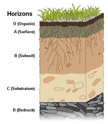 Slide #1